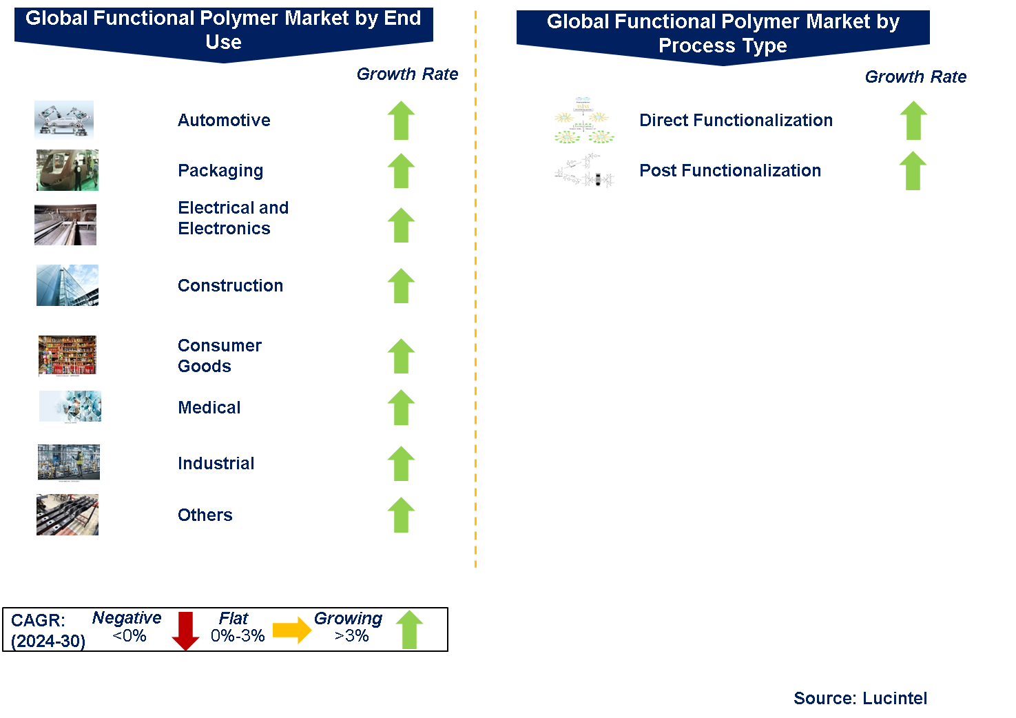 Functional Polymer Market Segments